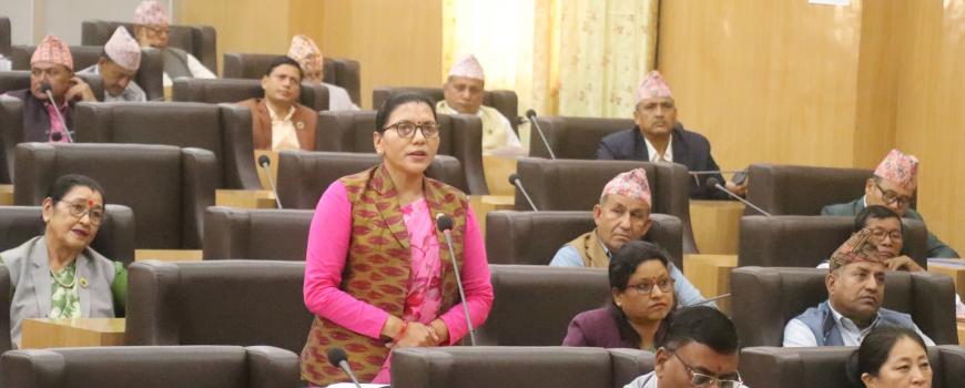 शुन्य समयमा सांसद: गृहमन्त्रीको बारेमा जुहारी, लाइसेन्सको लागि घुम्ती ट्रायल सेन्टरको माग