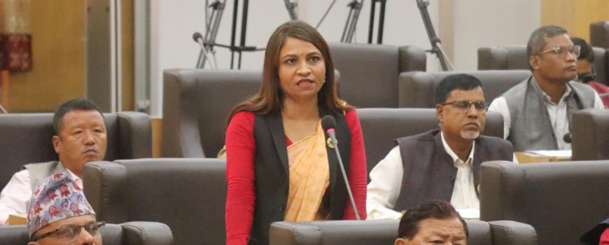 कोसी प्रदेश सभाको शून्य समय, ‘युवा विदेशमा अलपत्र परे, फर्किन जनही ४ लाख मागियो’