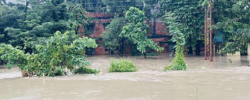 सुनसरी मोरङ औद्योगिक कोरिडोरका उद्योगहरूमा बाढी पस्यो करोडौँको क्षति 