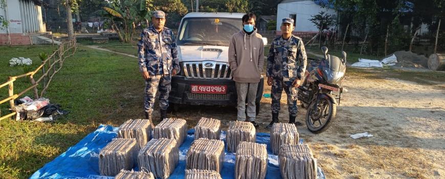 स्कारपियो गाडीमा लोड गरिएको १ सय ५३ किलो गाँजा पक्राउ